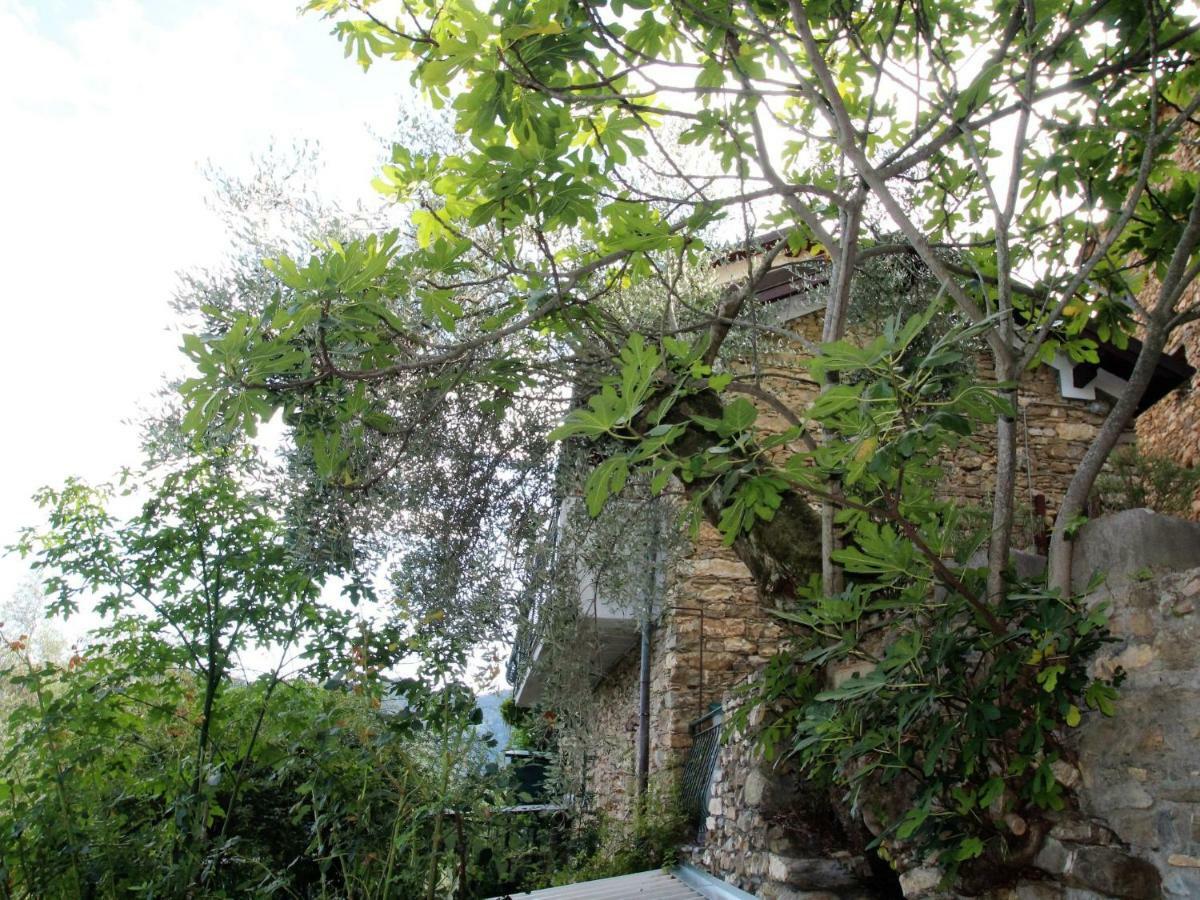 Holiday Home Mes Mas By Interhome Stellanello Экстерьер фото