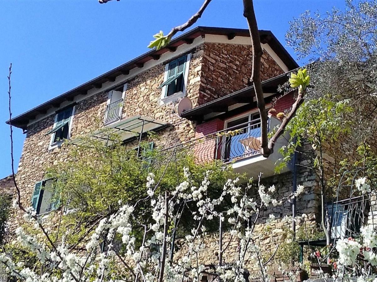 Holiday Home Mes Mas By Interhome Stellanello Экстерьер фото